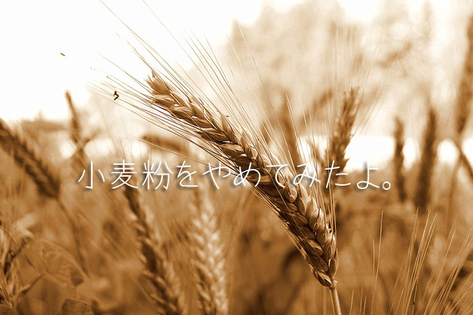 wheat-578195_1280